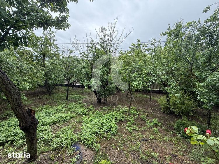 Casă cu 4 camere cu Teren 4075 Mp în Cotu Ciorii
