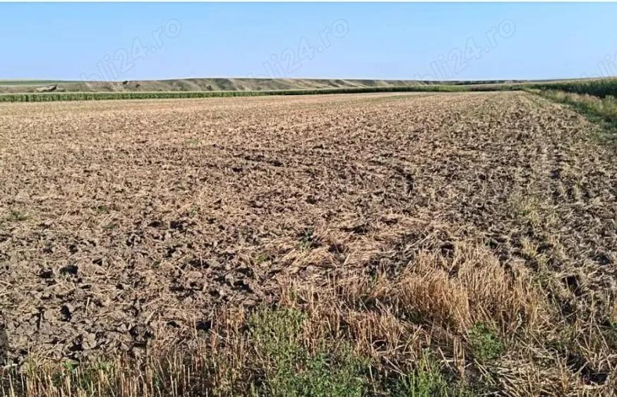 Teren de 7500 mp, în Valea Călugărească
