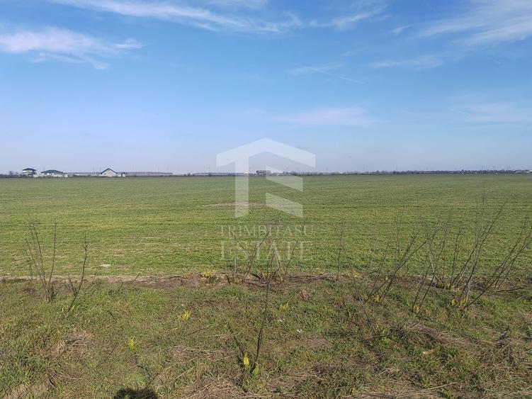 Teren Construcții intravilan de 1023 mp, în Cernica