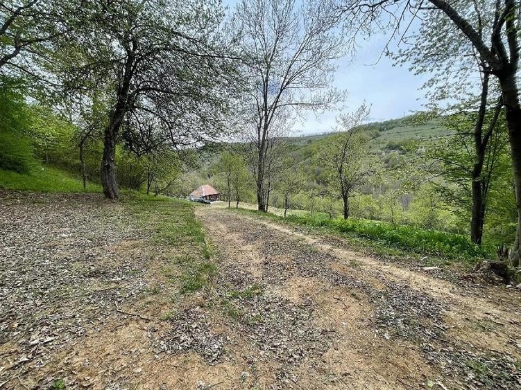 Casă cu Teren 15000 Mp în Bătrâna