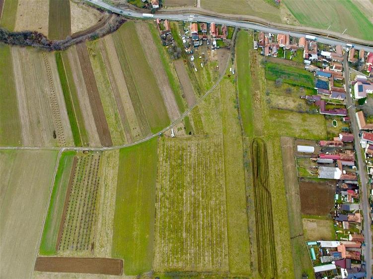 Teren intravilan de 14527 mp, în Aușeu