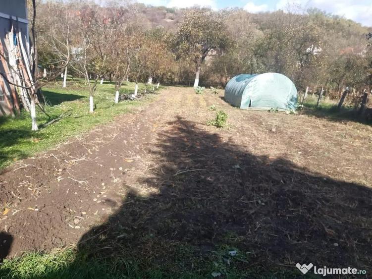 Casă cu 2 camere cu Teren 2000 Mp în Arduzel