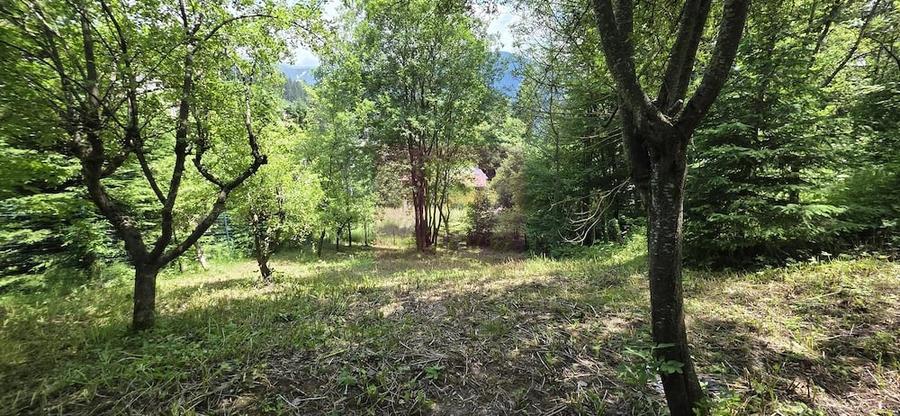 Teren de 780 mp, în Furnica