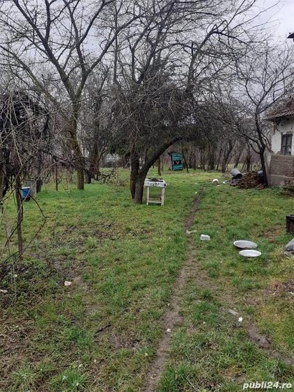 Teren în Călinești