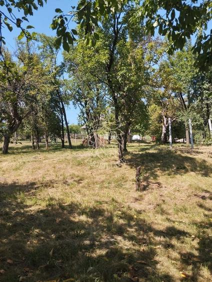 Teren Construcții intravilan de 2828 mp, în Dorolea