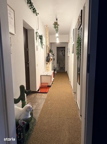 Apartament cu 3 camere în Metalurgiei