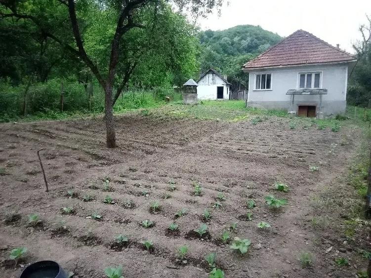 Casă cu 2 camere cu Teren 2763 Mp în Hălmagiu
