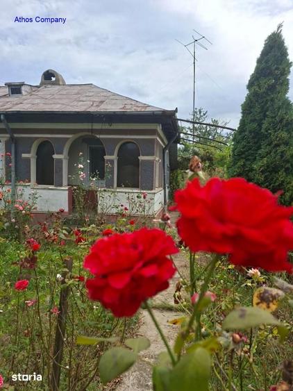 Casa 2 cam si dependinte in Jud Ialomita Grabovi - 9