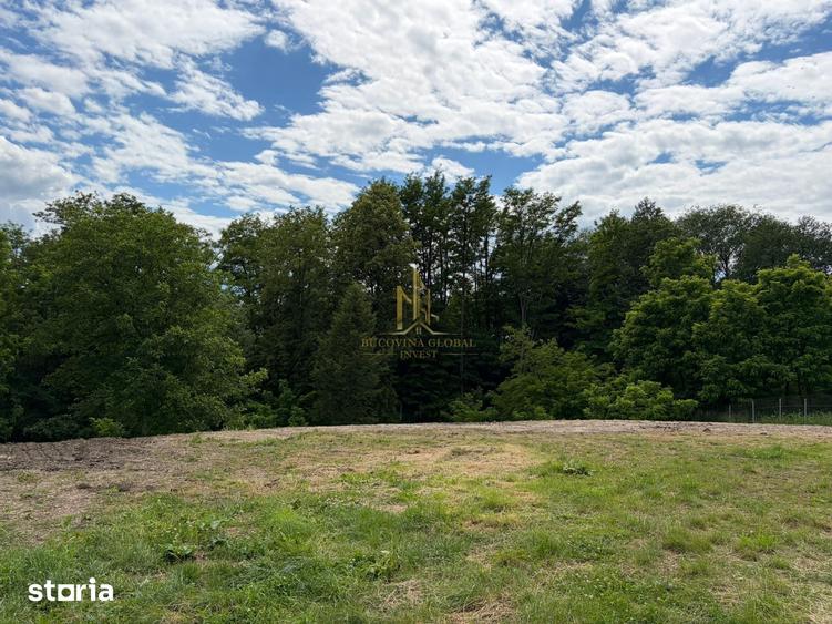 Teren de 2397 mp, în Pătrăuți