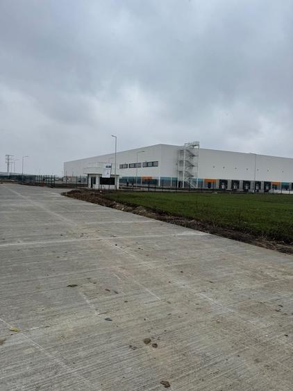 Teren Construcții intravilan de 10000 mp, în Șagului