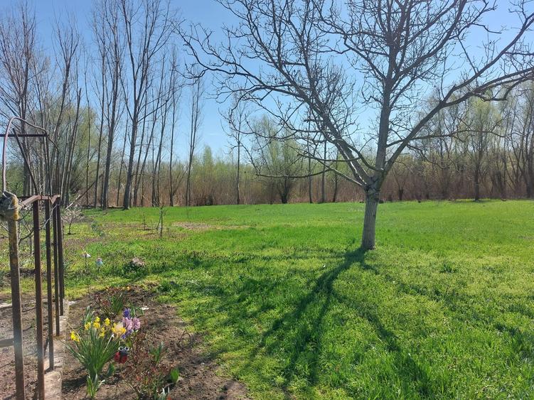 Teren Construcții intravilan de 3800 mp, în Măstăcani