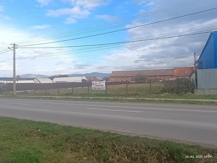 Teren de 1327 mp, în Cărpiniș