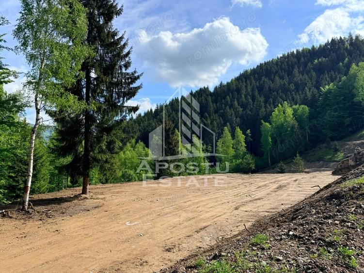 Teren de 18000 mp, în Central