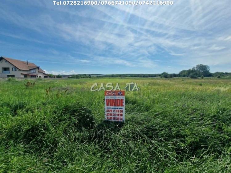 Teren Construcții intravilan de 3405 mp, în Preajba Mare