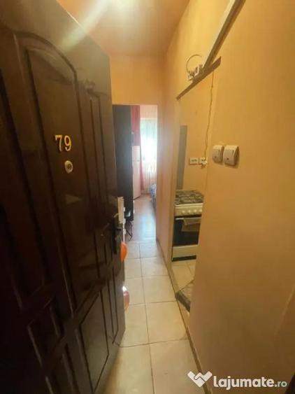 Garsonieră în Valea Rosie
