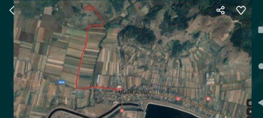 Teren,8700 m2,cu priveliste frumoasa. - 7