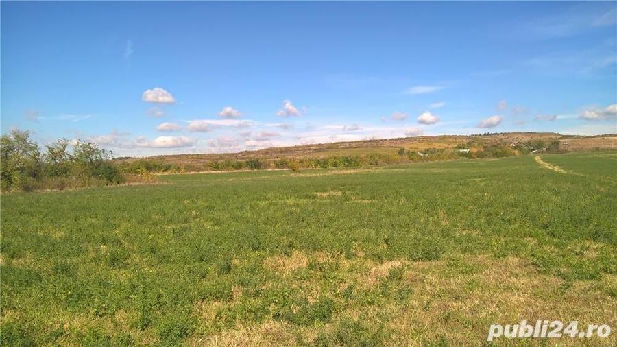 Teren de 39500 mp, în Valea Călugărească