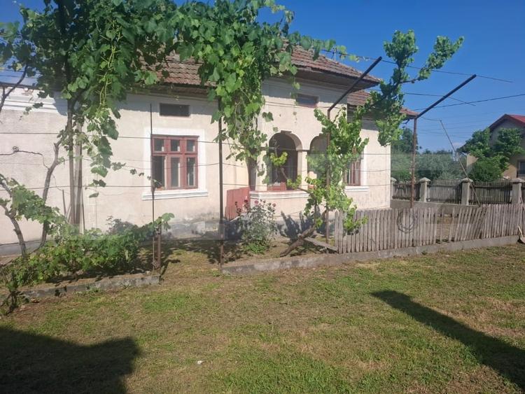 Casă individuală cu 2 camere cu Teren 5000 Mp în Mogoșani