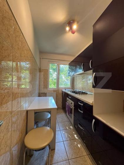 Apartament de 2 camere, 40 mp, zona Sagului - 8