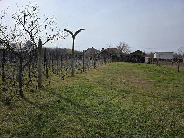 Casă cu 3 camere cu Teren 3600 Mp în Celaru