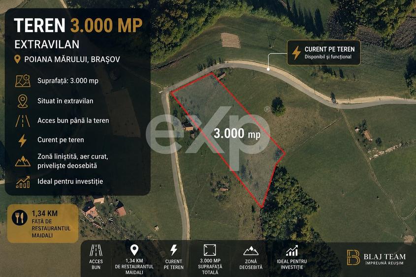 Teren Construcții extravilan de 3000 mp, în Poiana Mărului