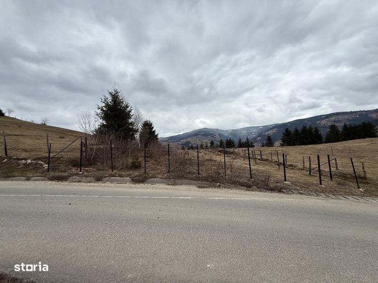 Teren de 1700 mp, în Albac