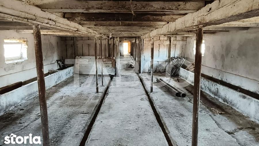 Casă cu 3 camere cu Teren 123 Mp în Pianu