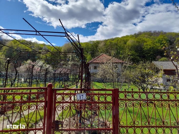 Casă cu 6 camere cu Teren 2559 Mp în Peștișani