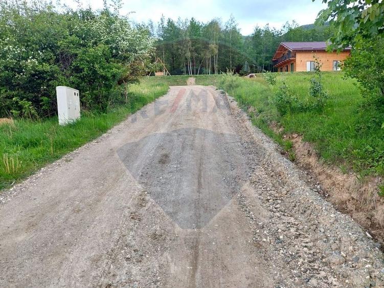 Teren Construcții intravilan de 4223 mp, în Tohănița