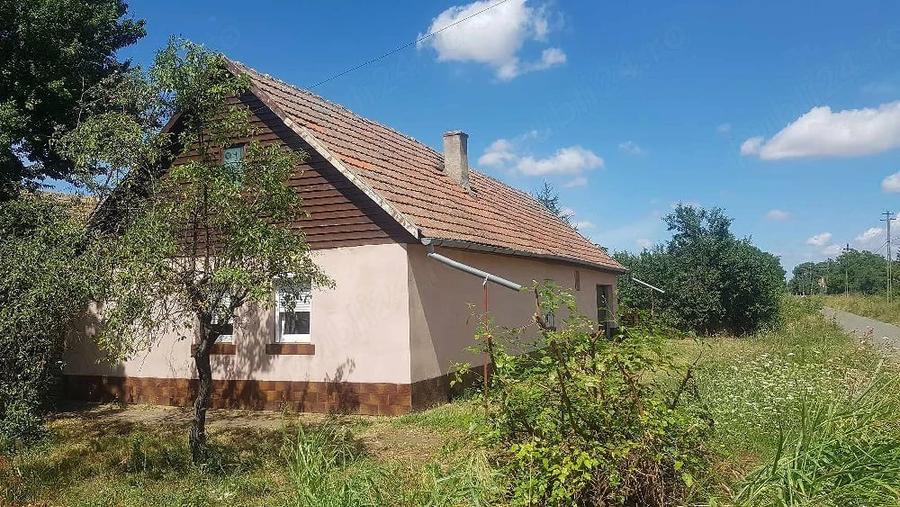 Casă cu Teren 1464 Mp în Vinga