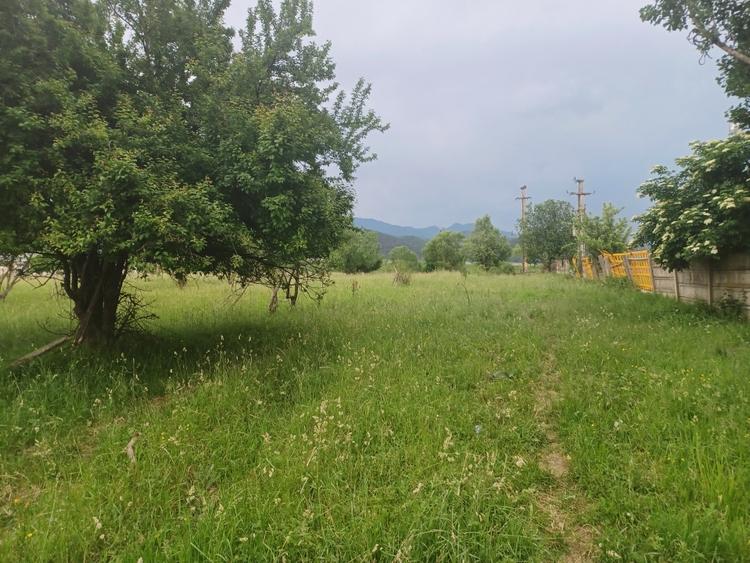 Teren Construcții intravilan de 10500 mp, în Exterior Nord