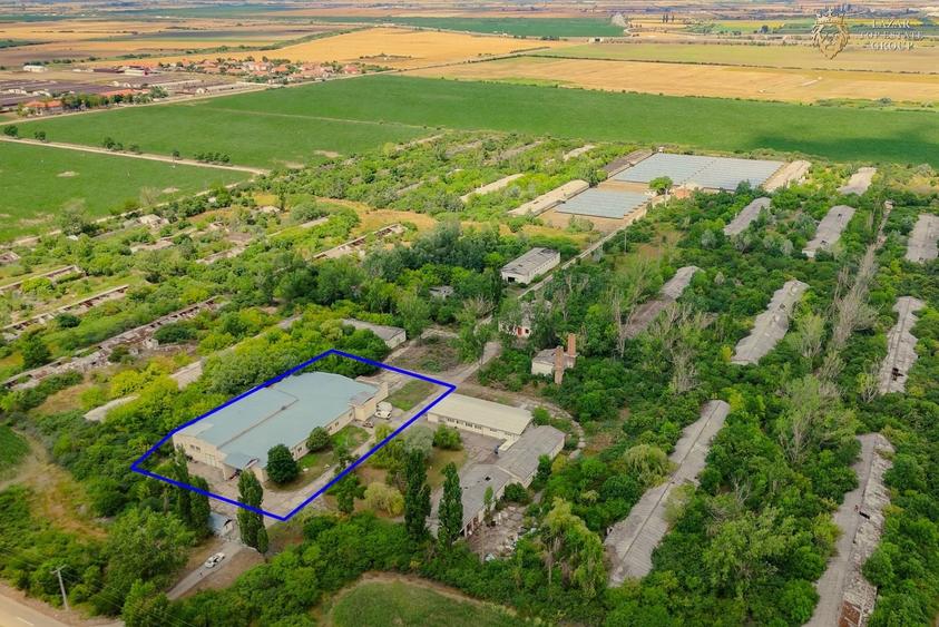 Spațiu industrial, de 800 mp, în Alfa