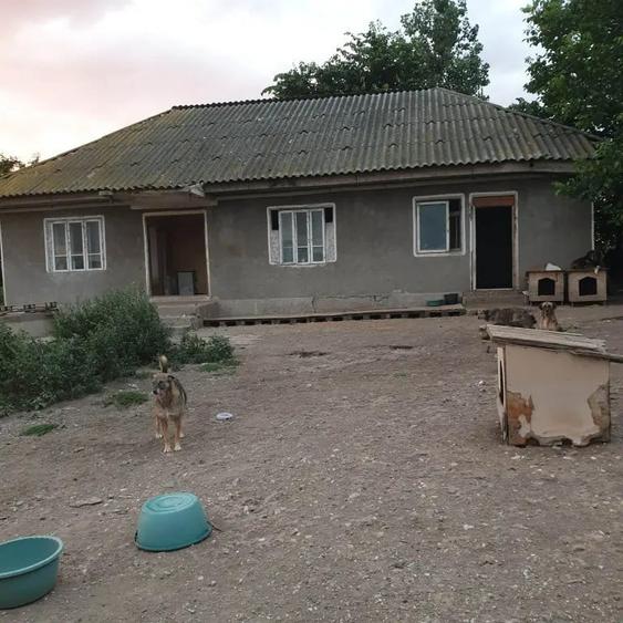Teren de 5080 mp, în Rădăcinești