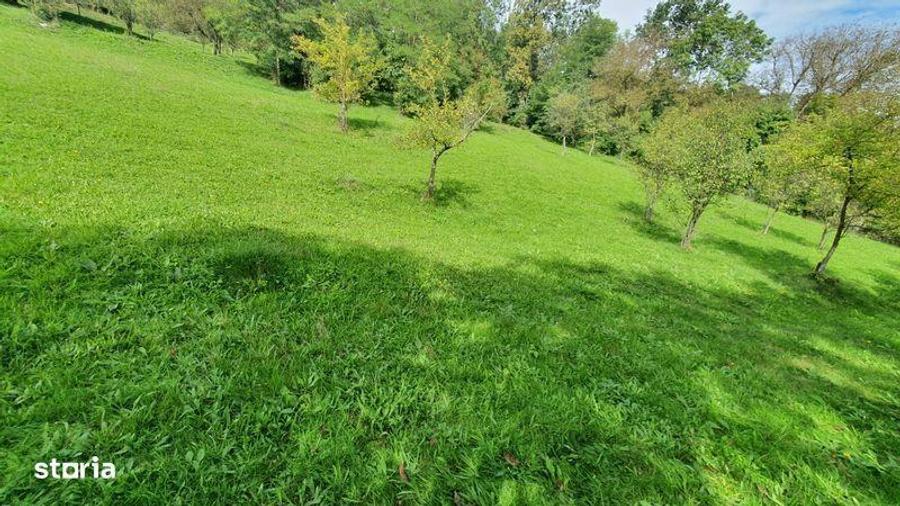 Teren de 2200 mp, în Sălciua