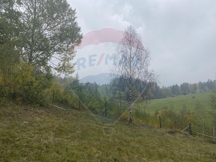 Teren Construcții intravilan de 8119 mp, în Călățele