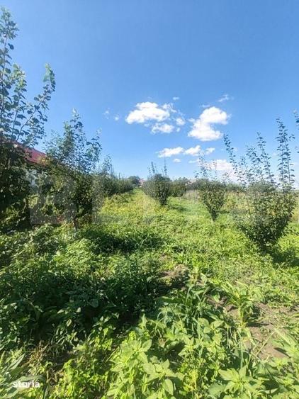 Casă cu 1 camere în Mihăiești