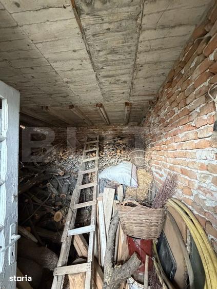 Casa pe parter, 115 mpc, 4505 mp teren, zona Bogea-Almaj - 3