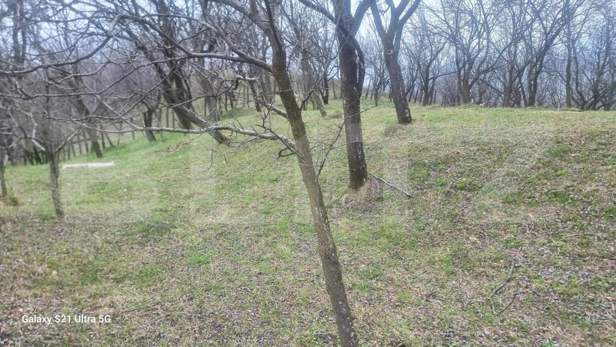 Teren Construcții intravilan de 3781 mp, în Schiulești