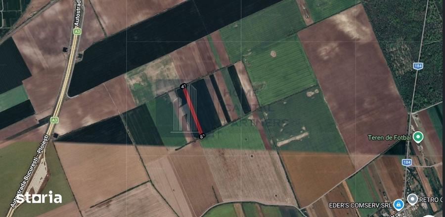 Teren de 5500 mp, în Moara Vlăsiei
