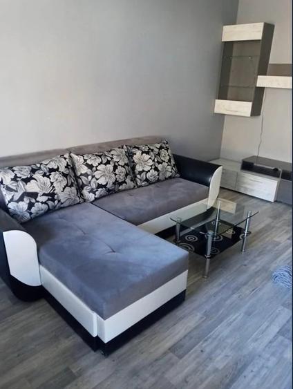 Apartament cu 2 camere de inchiriat in zona Vitan - 4