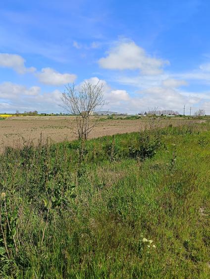 Teren agricol extravilan de 25000 mp, în Exterior Vest