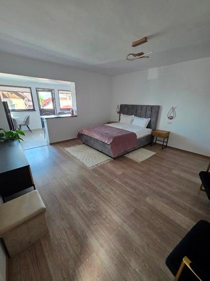 Apartament cu 2 camere decomandat, mobilat în Drumul Poienii