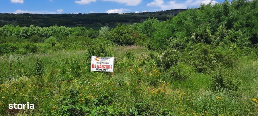 Teren de 2800 mp, în Osoi