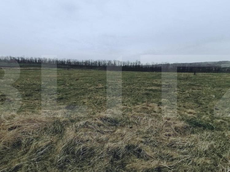 Teren Construcții intravilan de 750 mp, în Sopor
