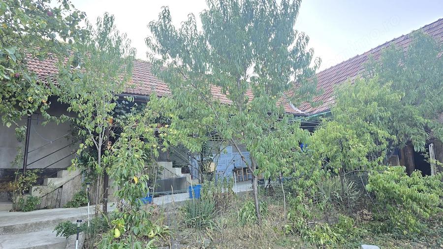 Casă cu 3 camere cu Teren 766 Mp în Viile Noi
