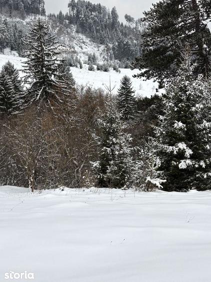 Teren de 580 mp, în Turcheș
