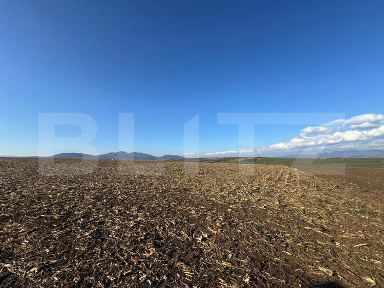 Teren agricol extravilan de 5700 mp, în Cristur
