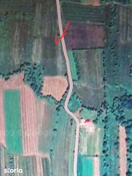 Teren de 3200 mp, în Vicovu de Sus