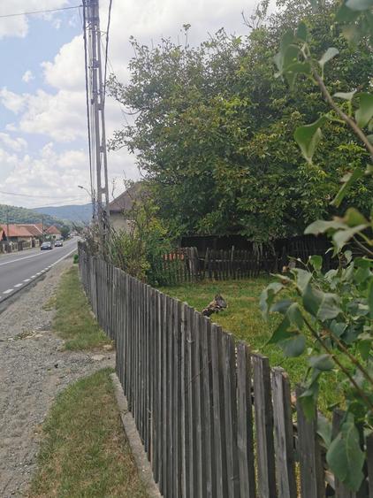 Casă cu 2 camere în Negreni
