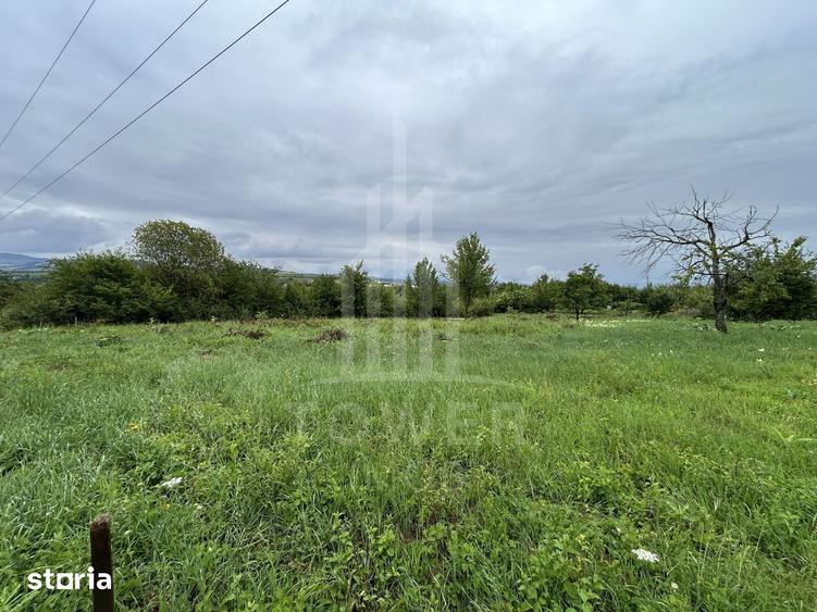 Teren intravilan de vanzare in Daia Noua 1.000 mp - 2